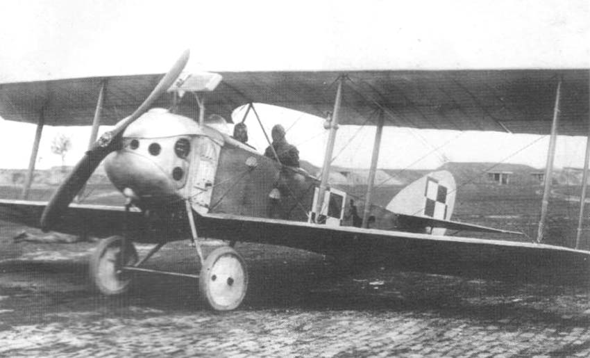 Anatra Anasal (Decan Salmson) i Anatra Decan (Anade, Decan Clarget)