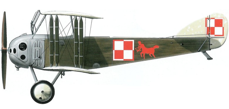 Anatra Anasal (Decan Salmson) i Anatra Decan (Anade, Decan Clarget)